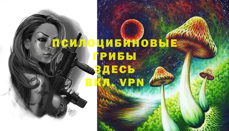 Псилоцибиновые грибы Magic Shrooms  купить   Новоульяновск 